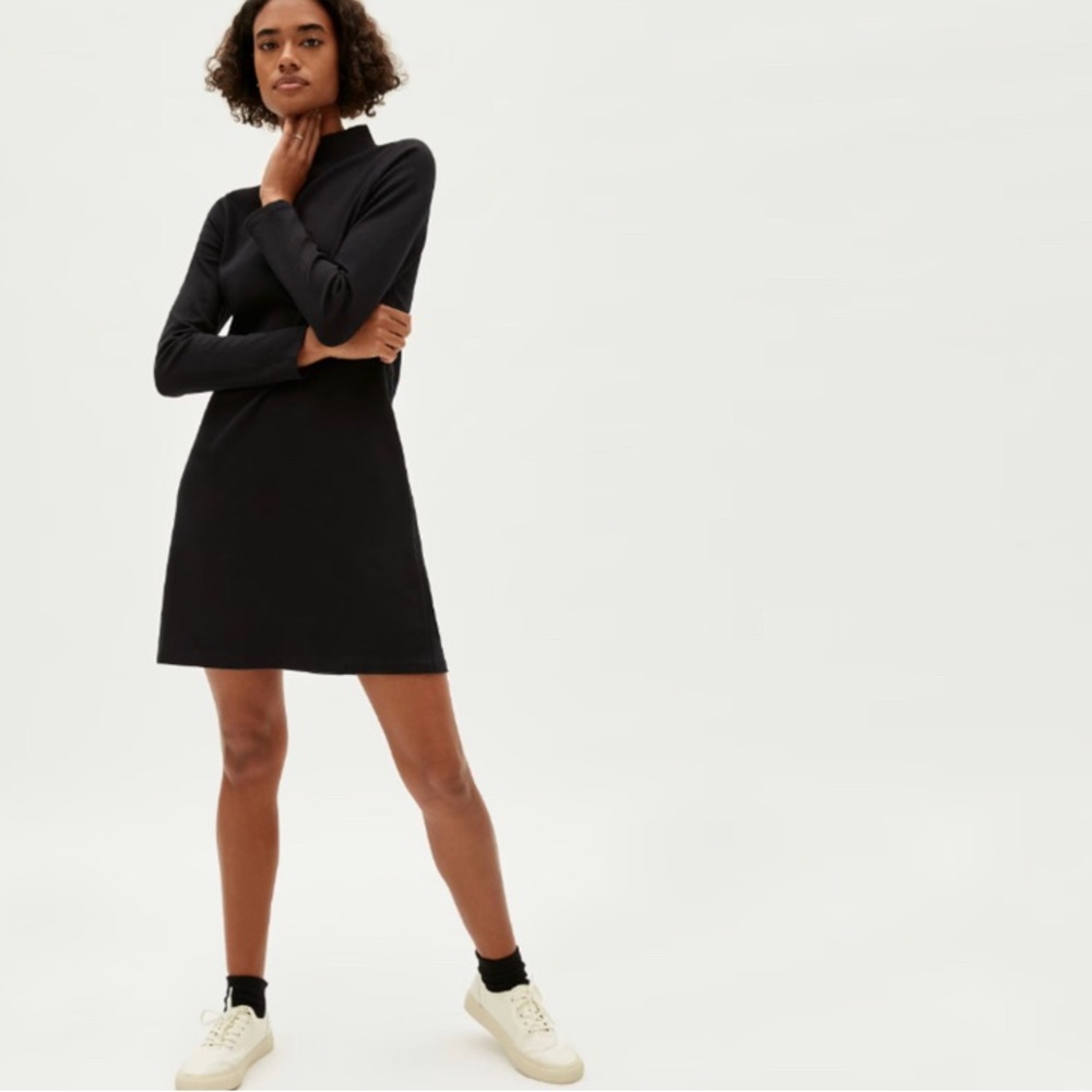 The Cotton Mock Neck Dress NWOT